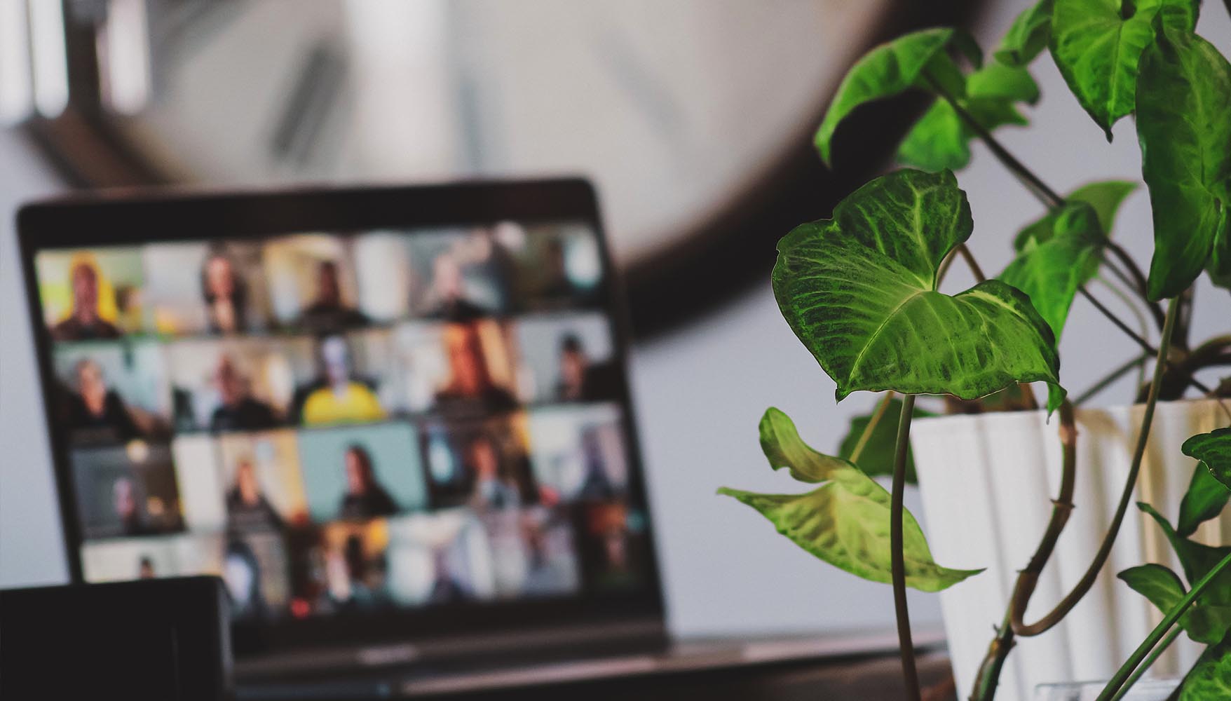 A photo of a plant in the foreground with a design workshop virutal event going on in a laptop in the background
